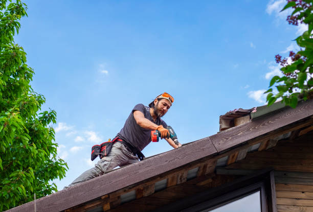 Best Storm Damage Roof Repair  in Wailuku, HI